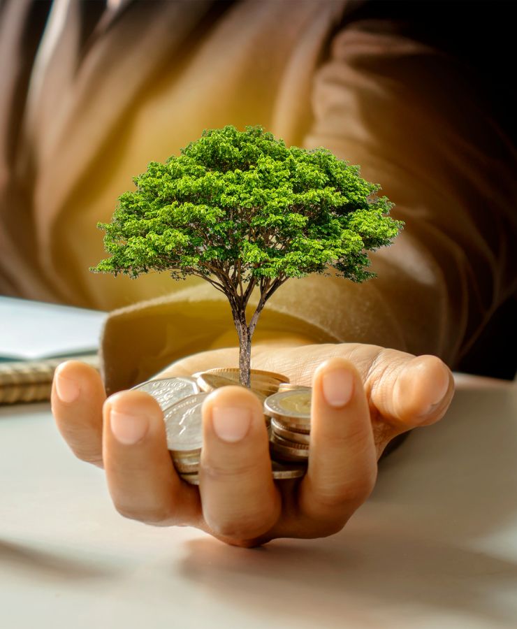 Croissance patrimoniale durable représentée par un arbre poussant sur des pièces, investissement responsable et gestion de patrimoine verte Croissance patrimoniale durable représentée par un arbre poussant sur des pièces, investissement responsable et gestion de patrimoine verte